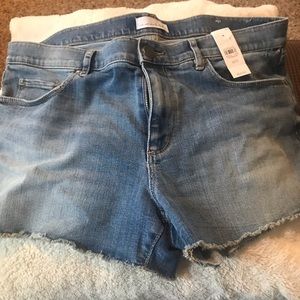 Denim shorts by Loft. Size 12. Never worn w tags.